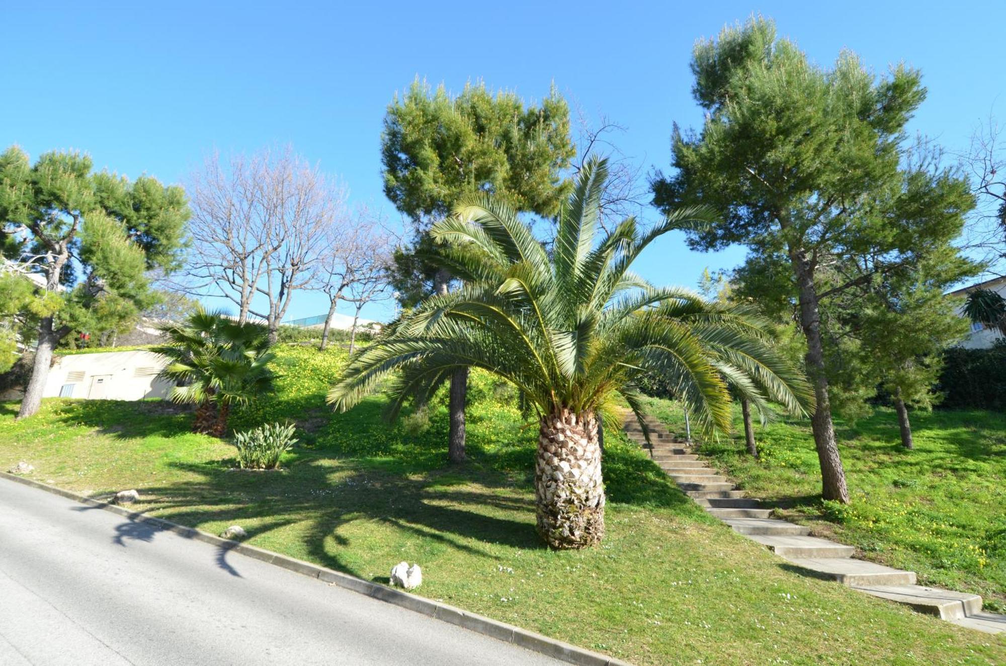 Plein Ciel - Appartement 5 Personnes Avec Piscine Sur La Corniche Fleurie A Νίκαια Εξωτερικό φωτογραφία